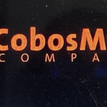CobosMika Company-Formacion profesional Danza Contemporanea 