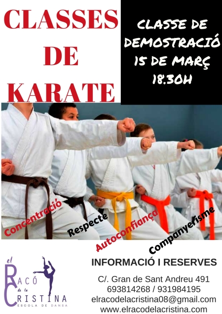Clase demostración karate