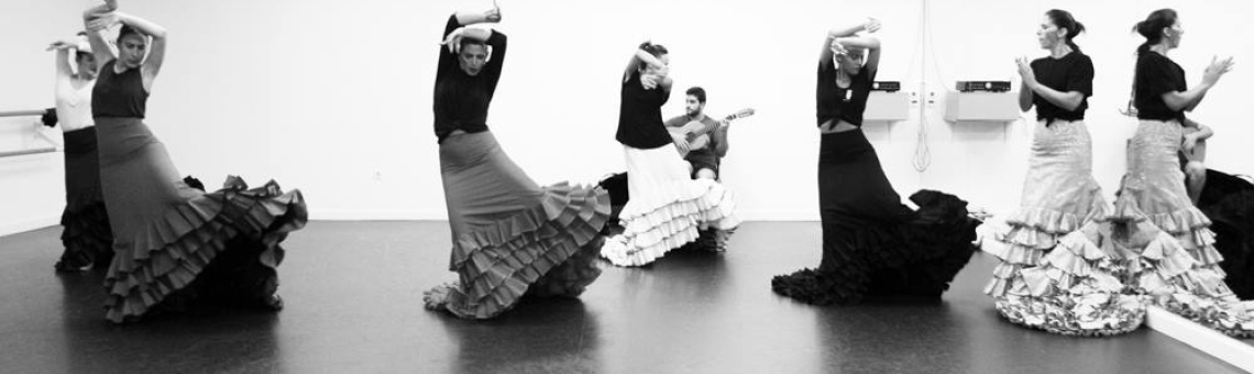 Escuela de Flamenco y Danza Lucía Guarnido