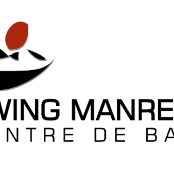 Swing Manresa