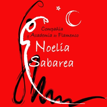 Academia Noelia Sabarea